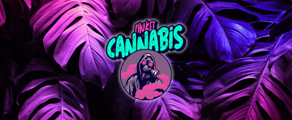 phuket cannabis dispensary bangkok cannabis